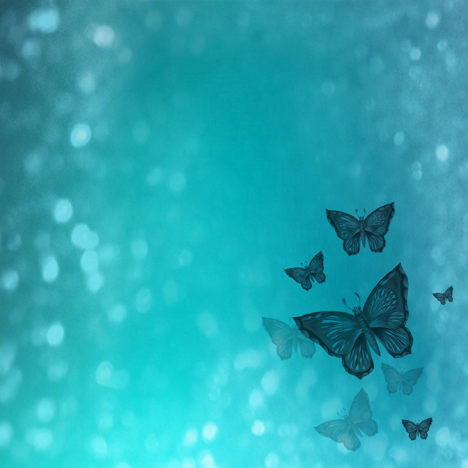 Facebook / Youtube Cover